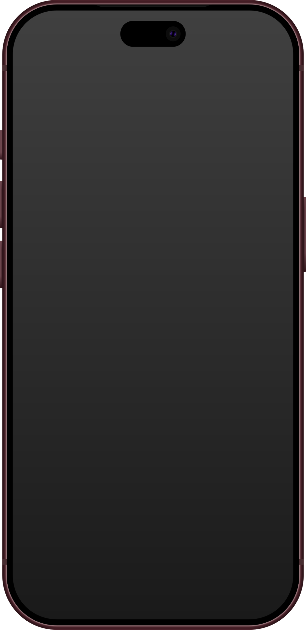 iPhone startup screen